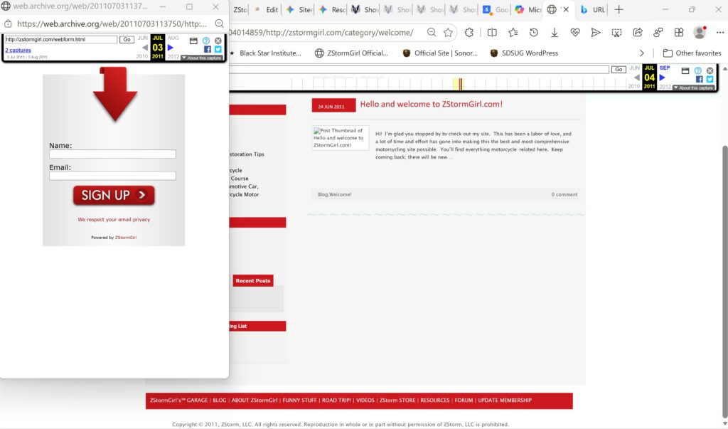 ZStormGirl mailing list signup form from the early 2011 site, showing fields for name, email, and subscription options.